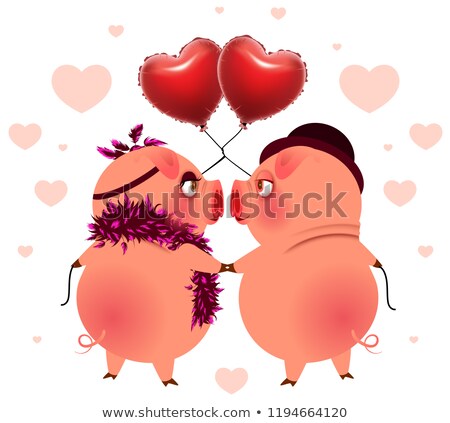 Stock foto: Pig Couple With Balloons Heart Shape Look At Each Other