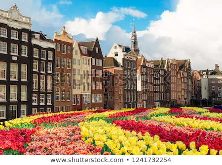 [[stock_photo]]: Houses Of Amstardam Netherlands