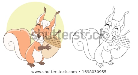 Stok fotoğraf: Squirrel With Acorn Cartoon Coloring Page