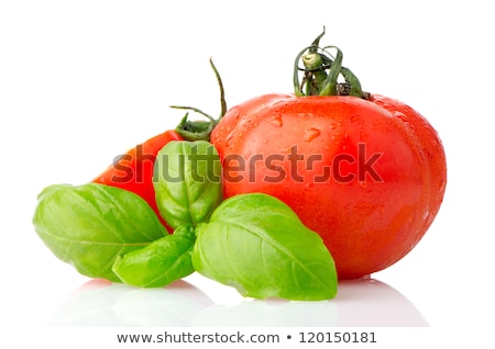 Wheattomato And Basil Foto stock © homydesign