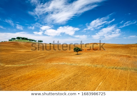 Zdjęcia stock: Alentejo