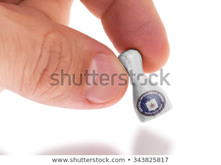 Stockfoto: Wooden Pawn With A Flag Painting