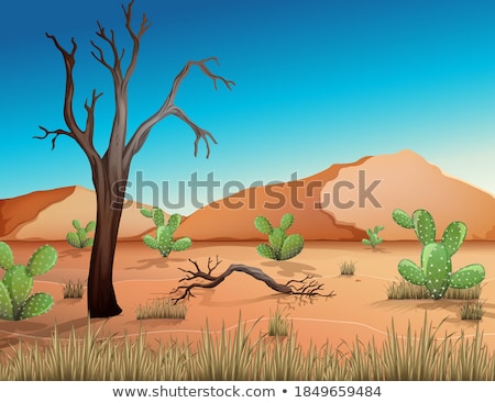 Stock photo: Arid Landscape