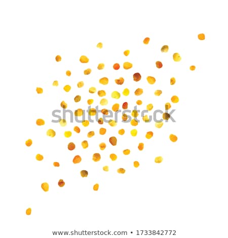 Zdjęcia stock: Pollen Granules