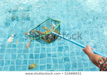 Foto d'archivio: Cleaning Swimming Pool With Cleaning Net In The Morning