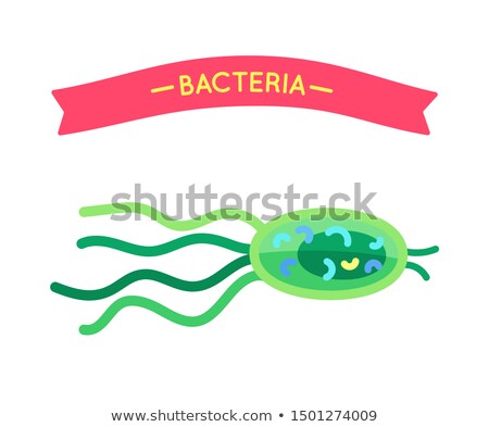 Сток-фото: Zoomed Cartoon Microorganism For Biology Content