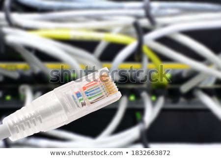 Data Connection With Rj45 Patch Cable Conceptual Shot Сток-фото © Hamik