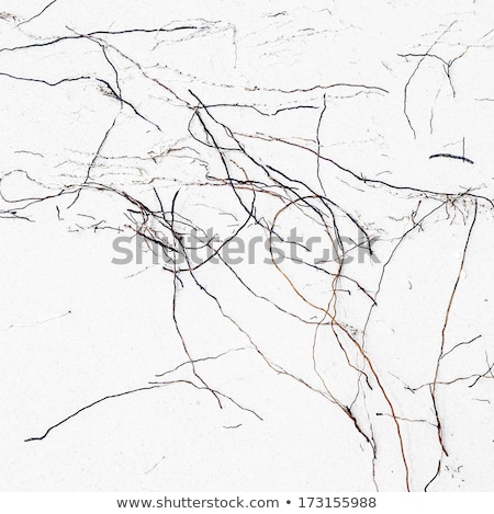 Stock foto: Beautiful Structures Lines In Stones Gives An Impression Of Nat