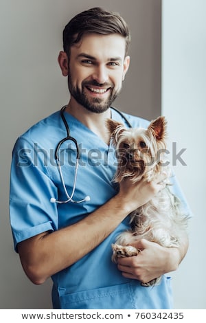 Stock photo: Handsome Young Man Holding A Yorkshire Terrier Dog