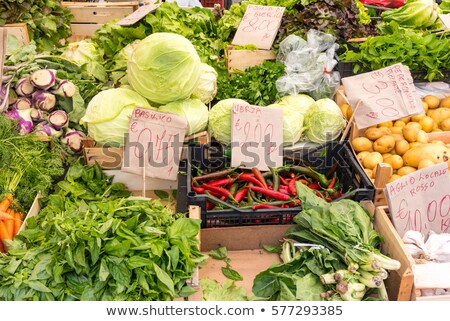 Salad And Vegtables For Sale Сток-фото © elxeneize