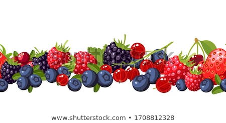Stockfoto: Blackberry Icon On Black And White Background Fruit Vector Illustration