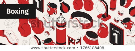 Stock photo: Punching Bag Isometric Icon Vector Illustration