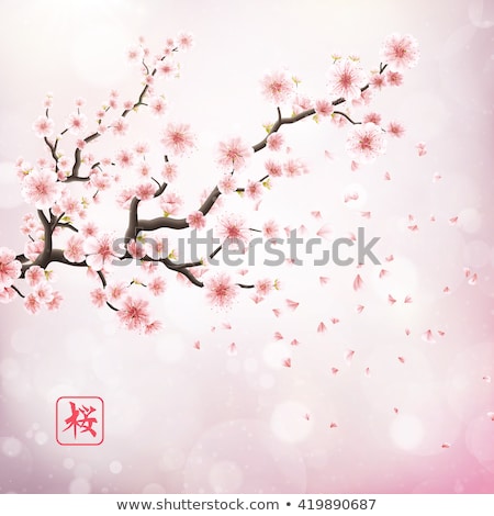 Сток-фото: Brunch With Flower - Cherry Blossom