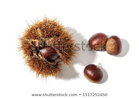 ストックフォト: Edible Chestnuts