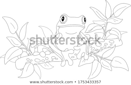 Stock fotó: Exotic Frog On Colorful Background