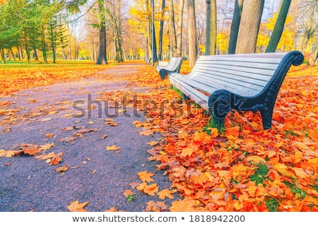 [[stock_photo]]: On The Empty Street In Boston Massachusetts