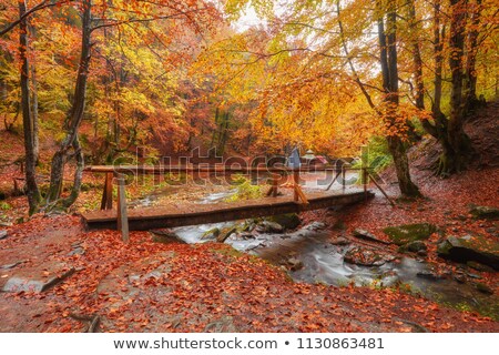 Stock fotó: Fall Colors By The Foot Bridge