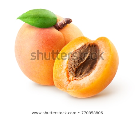 Stock fotó: Apricots