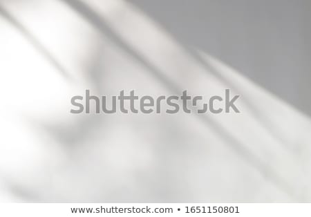 Stockfoto: Branches And Architecture