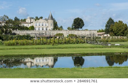 Stockfoto: Chateau Lafite Rothschild With Pond Saint Estephe