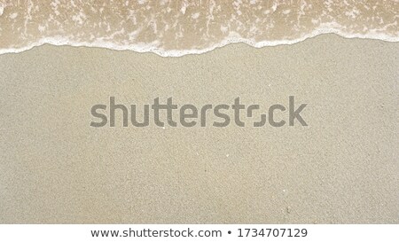 Pattern Type Texture On The Sand Beach Zdjęcia stock © 7Crafts