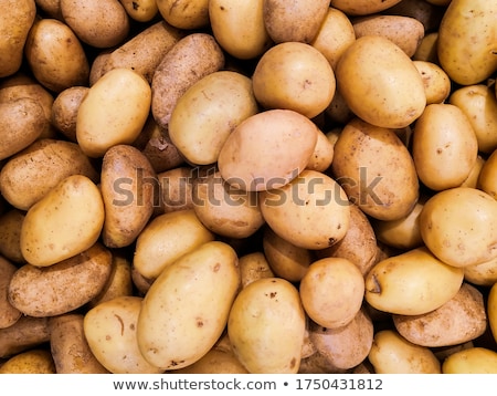 Stock photo: Raw Potato