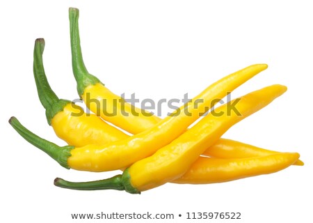 Foto stock: Macska Sarga Peppers Paths