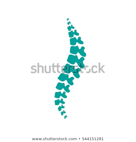 Stockfoto: Spine Bone Logo Vector Illustration Symbol