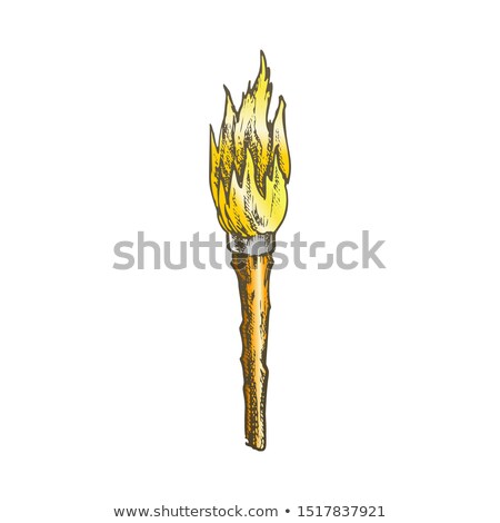 Stok fotoğraf: Torch Handmade Old Wooden Burning Stick Color Vector