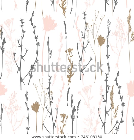 ストックフォト: Seamless Pattern Of Plants And Herbs Floral Background