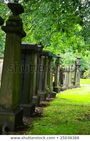 Foto stock: Askew Tree Scotland