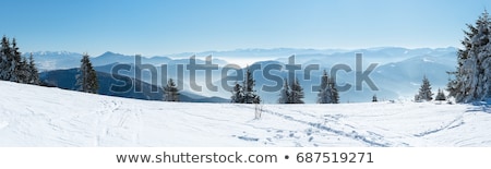 Stock photo: Winter In The Mountains