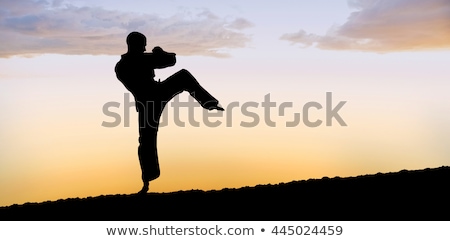 Stok fotoğraf: Fighter Performing Karate Stance