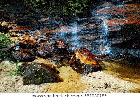 Stok fotoğraf: Fresh Mountain Creek Blue Mountains Australia