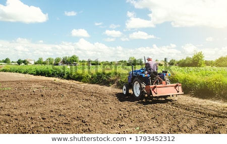 Сток-фото: Farmer Drives A Tractor With A Milling Machine Loosens Grind And Mix Soil On Plantation Field Loo