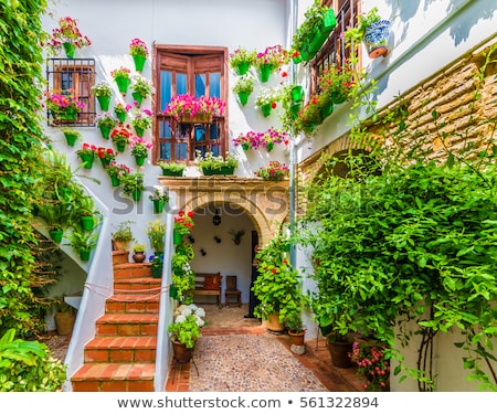 Stok fotoğraf: Patio Courtyard Cordoba Andalusia Spain