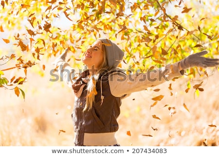 Foto stock: Iña, · otoño, · bosque