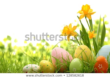 Foto d'archivio: Yellow Daffodils With Easter Eggs