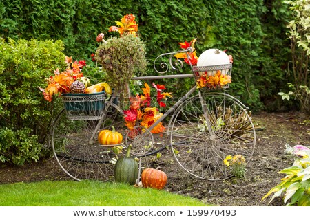 Bike Basket Filled With Autumn Objects ストックフォト © tab62