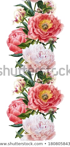 Stok fotoğraf: Border With Peony