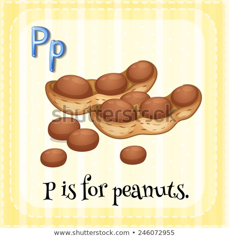 Stockfoto: Flashcard Letter P Is For Peanut