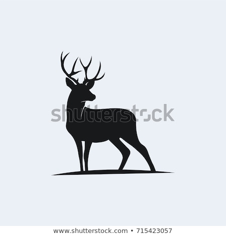 Stok fotoğraf: A Deer