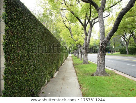 Stock photo: Building Exteriors Los Angeles California Usa