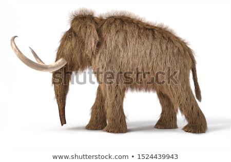 Foto stock: Woolly Mammoth Realistic 3d Illustration Viewed From A Side