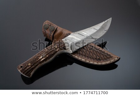 Stok fotoğraf: Dagger And Scabbard