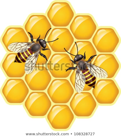 Vector Working Bees On Honeycells Сток-фото © freesoulproduction