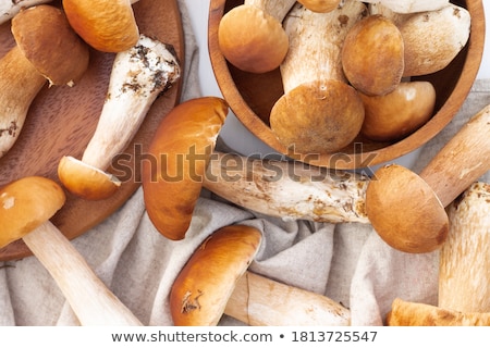 Stok fotoğraf: Basket With Boletus Edulis