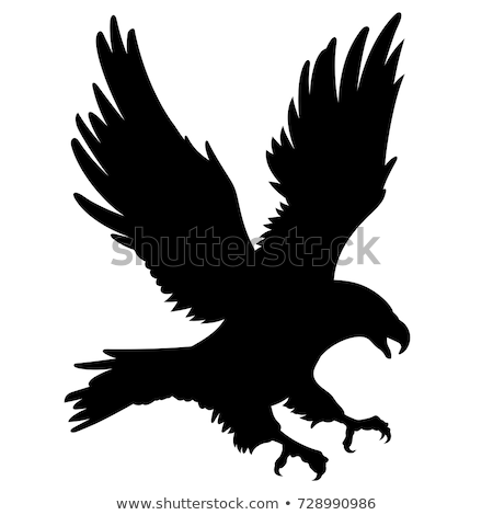 Foto stock: Eagle Silhouette