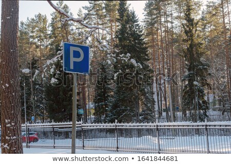 Stock photo: A Lot Of Snowfall And Empty Walkway