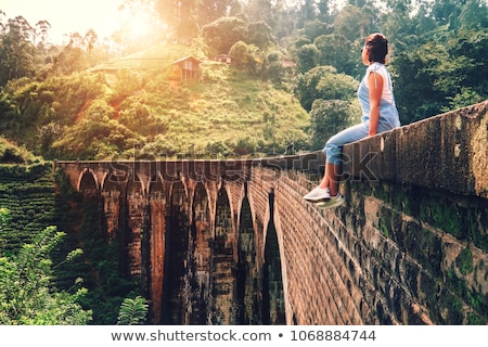 Stock foto: Beautiful Woman Travelling On A Scenic Railway